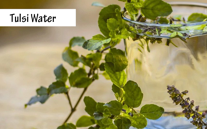 benefits of drinking tulsi water in morning
