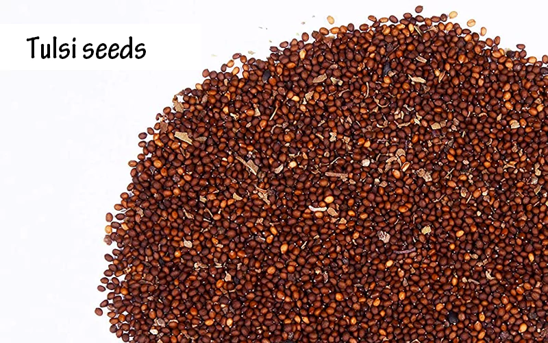 health benefits of tulsi seeds