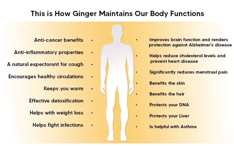 health benefits of using ginger